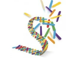 Vilac Stick Boom -Vilac ext 156621 263025.1