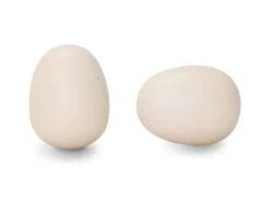 Vilac Mém'oeuf - Mémo Sonore - Dès 2 Ans 7 Vilac Mém'oeuf - Mémo Sonore - Dès 2 Ans -Vilac ext 159459 265866.2