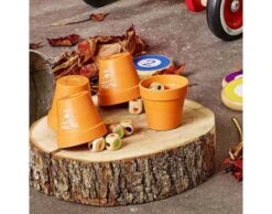 Vilac C'est Des Salades Jeu De Bluff - Dès 6 Ans -Vilac ext 240979 383233.2